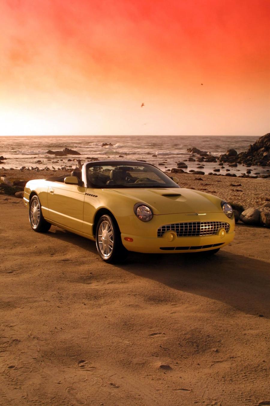  Ford Thunderbird 2002 года  (фото 116 из 161)